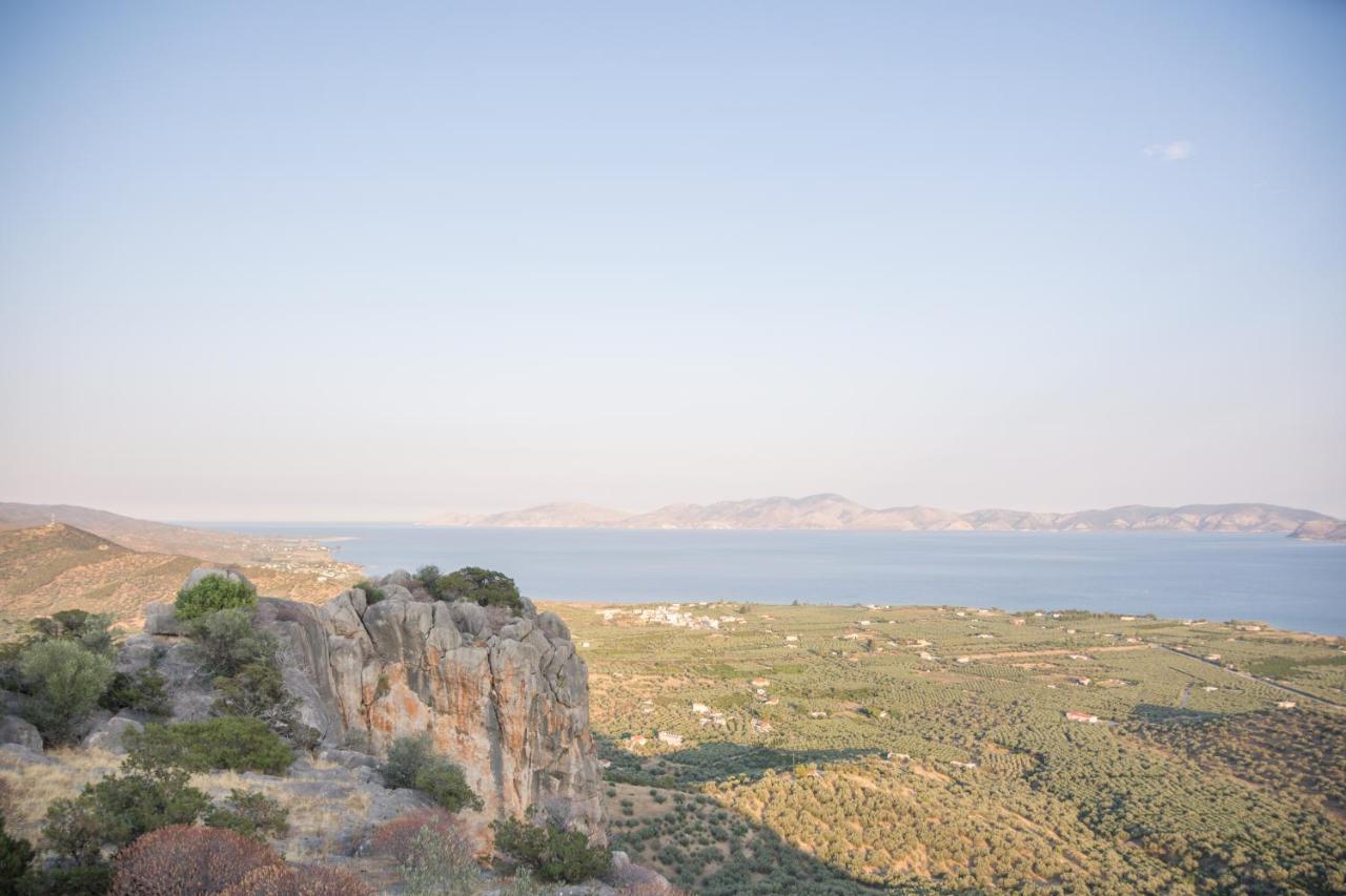 Ktima Develekou Daire Pigadhia  Dış mekan fotoğraf