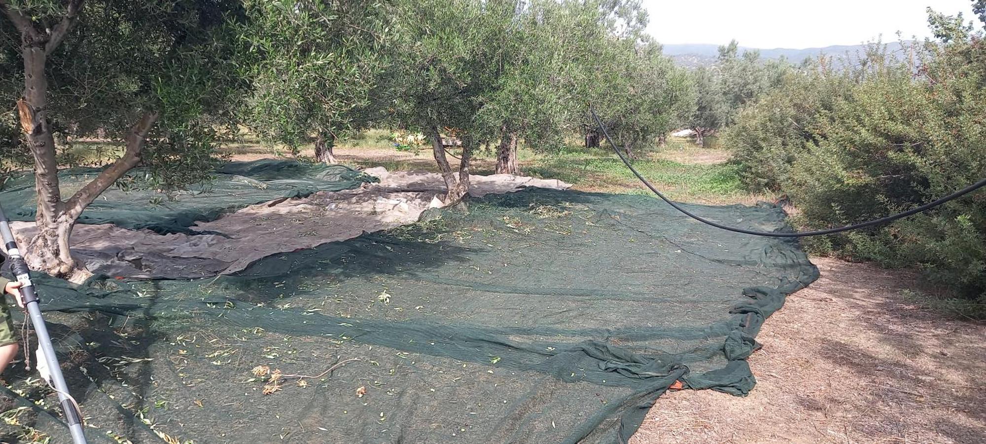 Ktima Develekou Daire Pigadhia  Dış mekan fotoğraf